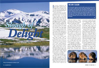 Slough of delight