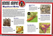 Jan/Feb 2008 Eye Spy