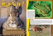 Jan/Beb 2008 Wild spread 2