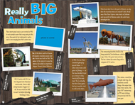 Jul/Aug 2008 big animals