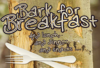 Bark For Breakfest