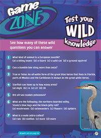 Game zone