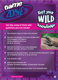 game zone