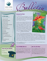 Bulletin sm