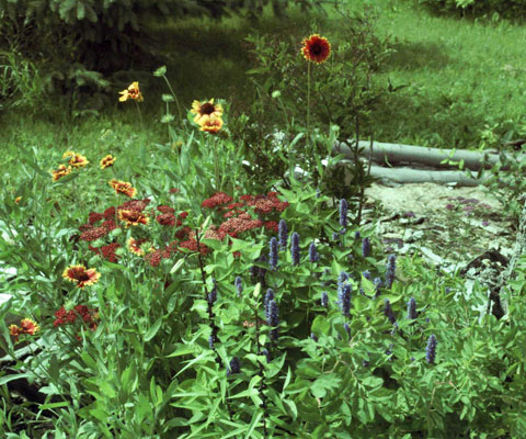 FeatureGarden480