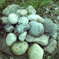 FeatureGardenThumb2