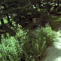 FeatureGardenThumb3