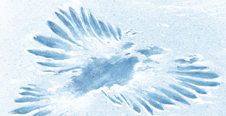 Winter tracks - owl
