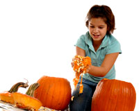 Pumpkins / Citrouille