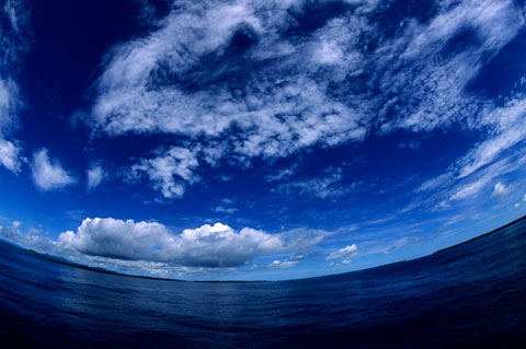 Water Worlds: Five Forms of Water in Canada. By Stephanie Bonner