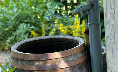 Rain barrel