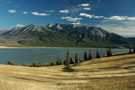 jasper