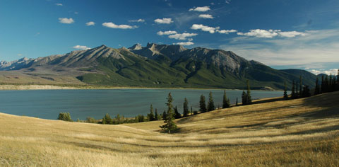 jasper header
