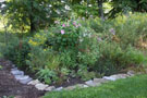 Creating native gardens