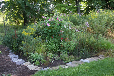 Creating a native garden 