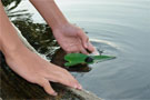 Kids and turtles