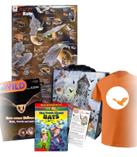 BatBagBundle