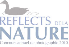ReflectionDeNature