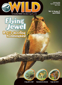 WildMagazineCover