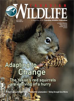 Canadian Wildlife Magazine