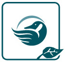 BnB-Certification