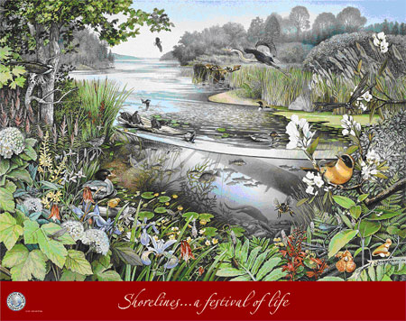Shoreline Poster