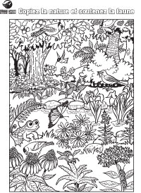 colouring-pages-V2_FR-2-200