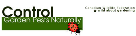 Control Garden Pests Naturally