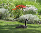 Gardens Galore 2