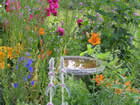 Gardens Galore 4