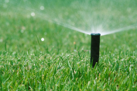 watering the lawn