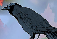 Crow 
