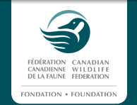 CWF Logo