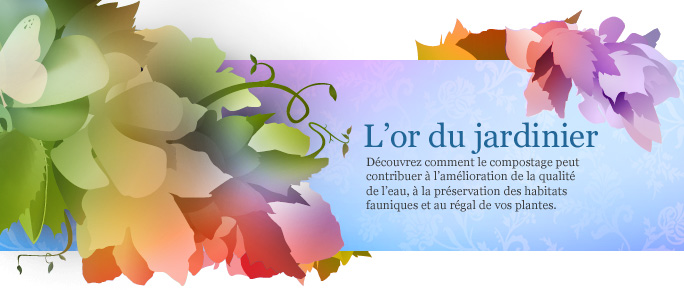 2_fr.jpg