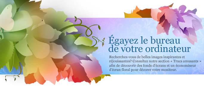 3_fr.jpg
