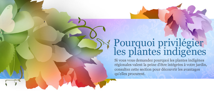 4_fr.jpg