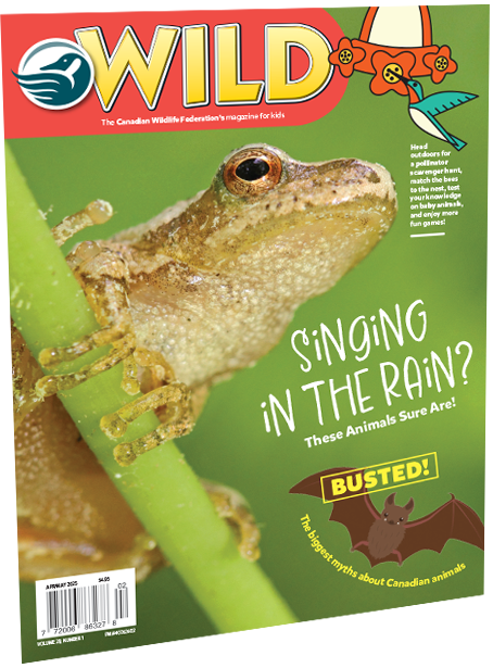 wild magazine cover