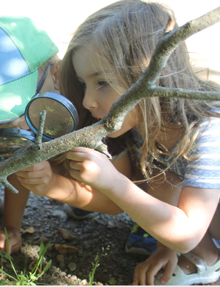 kids exploring in backyard