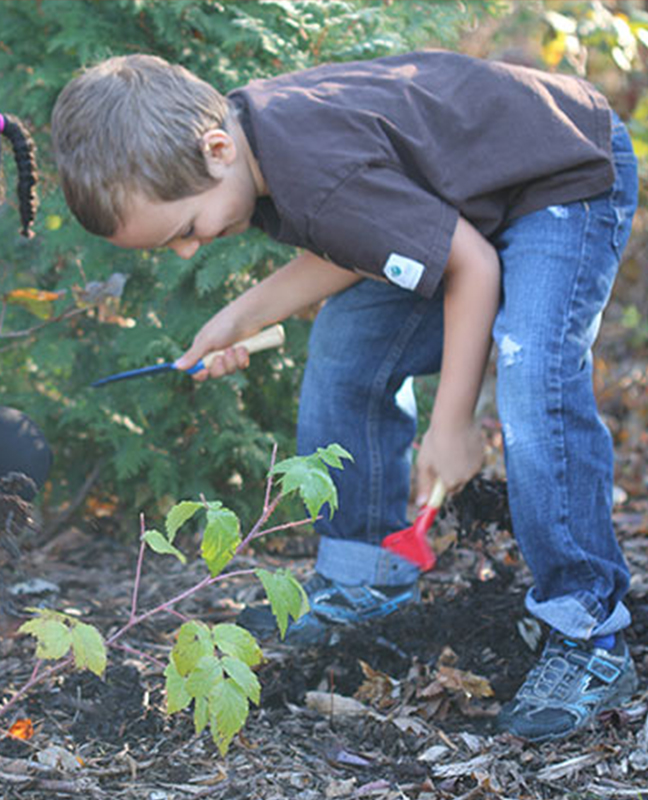 kids playing outside